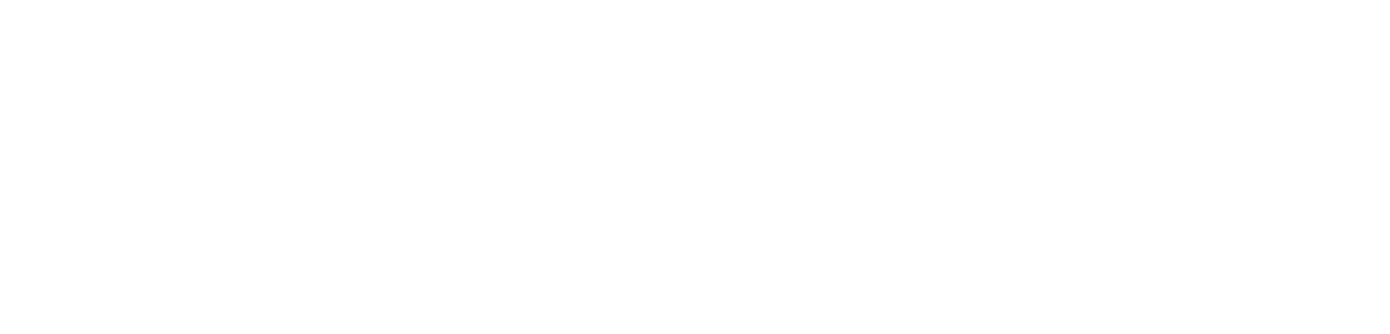 TruePayments